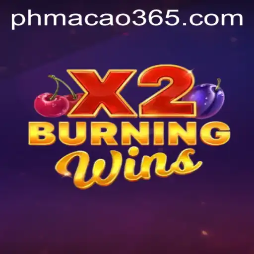 Experience the Thrilling World of BurningWinsX2: A Casino Game Overview