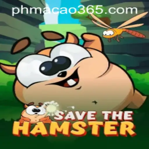 Exploring the Thrilling World of SavetheHamster in PH Macao
